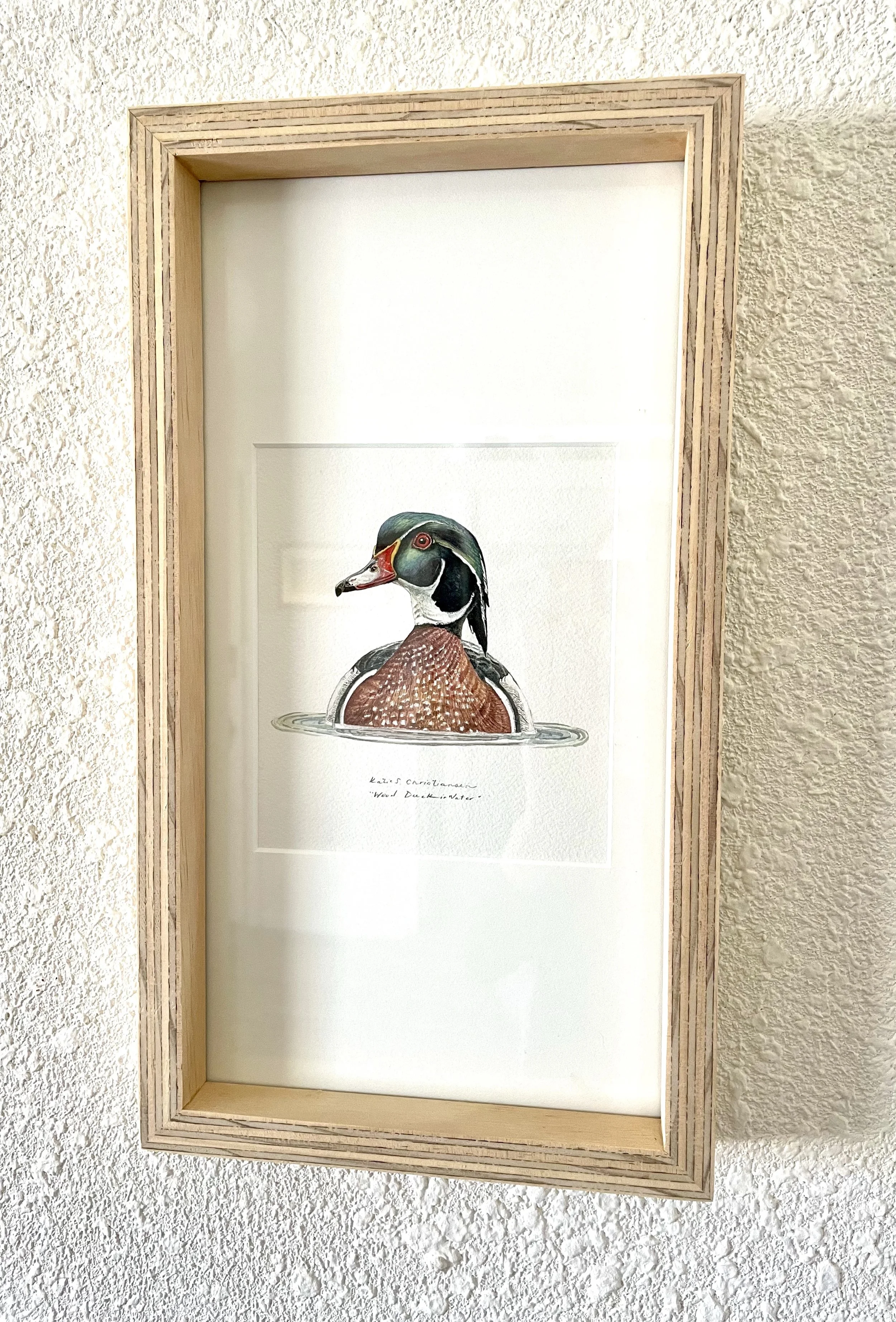 Wood Duck Original Watercolor (Framed) — COYOTE ART & ECOLOGY